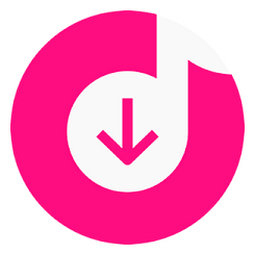 4K Tokkit 2.7.4 Multilingual