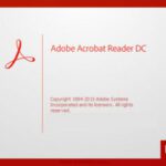 Adobe Acrobat Reader DC 2024.003.20180