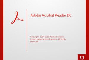 Adobe Acrobat Reader DC 2024.004.20220 Freeware
