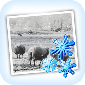 JixiPix Snow Daze v1.27 + Patch (macOS)