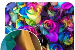MediaChance AI Photo & Art Enhancer 1.7.00 + Portable