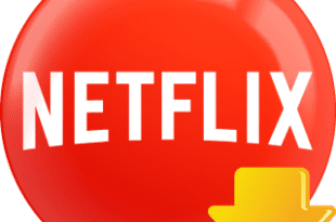 Pazu Netflix Video Downloader 1.8.0