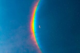 Coldplay - Moon Music (2024)
