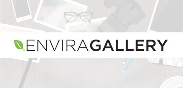 Envira Gallery 1.10.0 + Addons - Premium WordPress Gallery Plugin Envira Gallery 1.10.0 + Addons - Premium WordPress Gallery Plugin