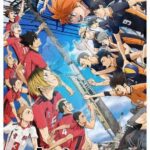 Haikyuu!! A Batalha do Lixão (2024) WEB-DL 1080p Dual Áudio