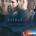 Estranho Mas Verdade (2019) WEB-DL 1080p Dual Áudio