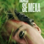 Não Se Mexa (2024) WEB-DL 1080p Dual Áudio